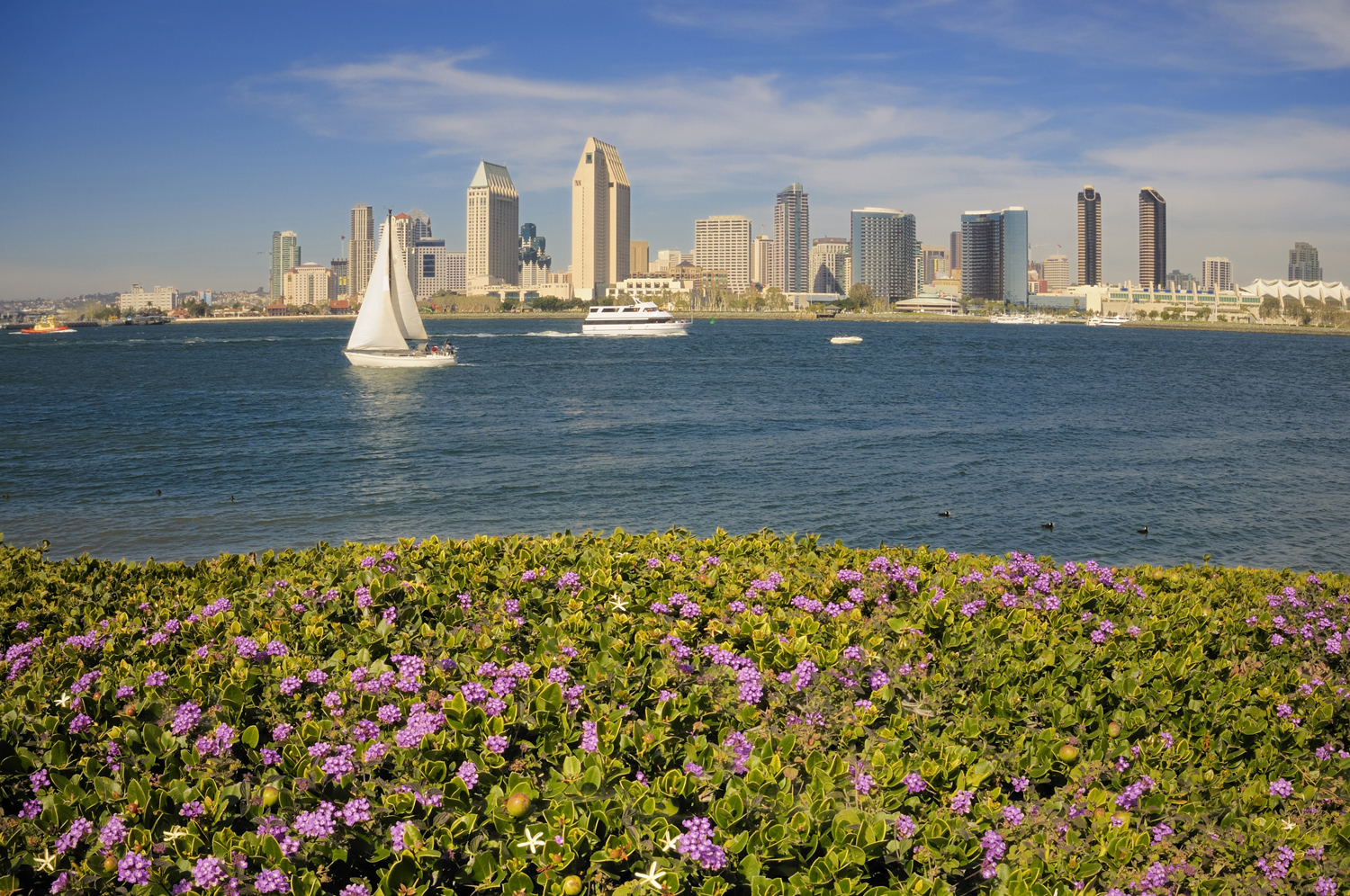 Best Staycation Cities: San Diego
