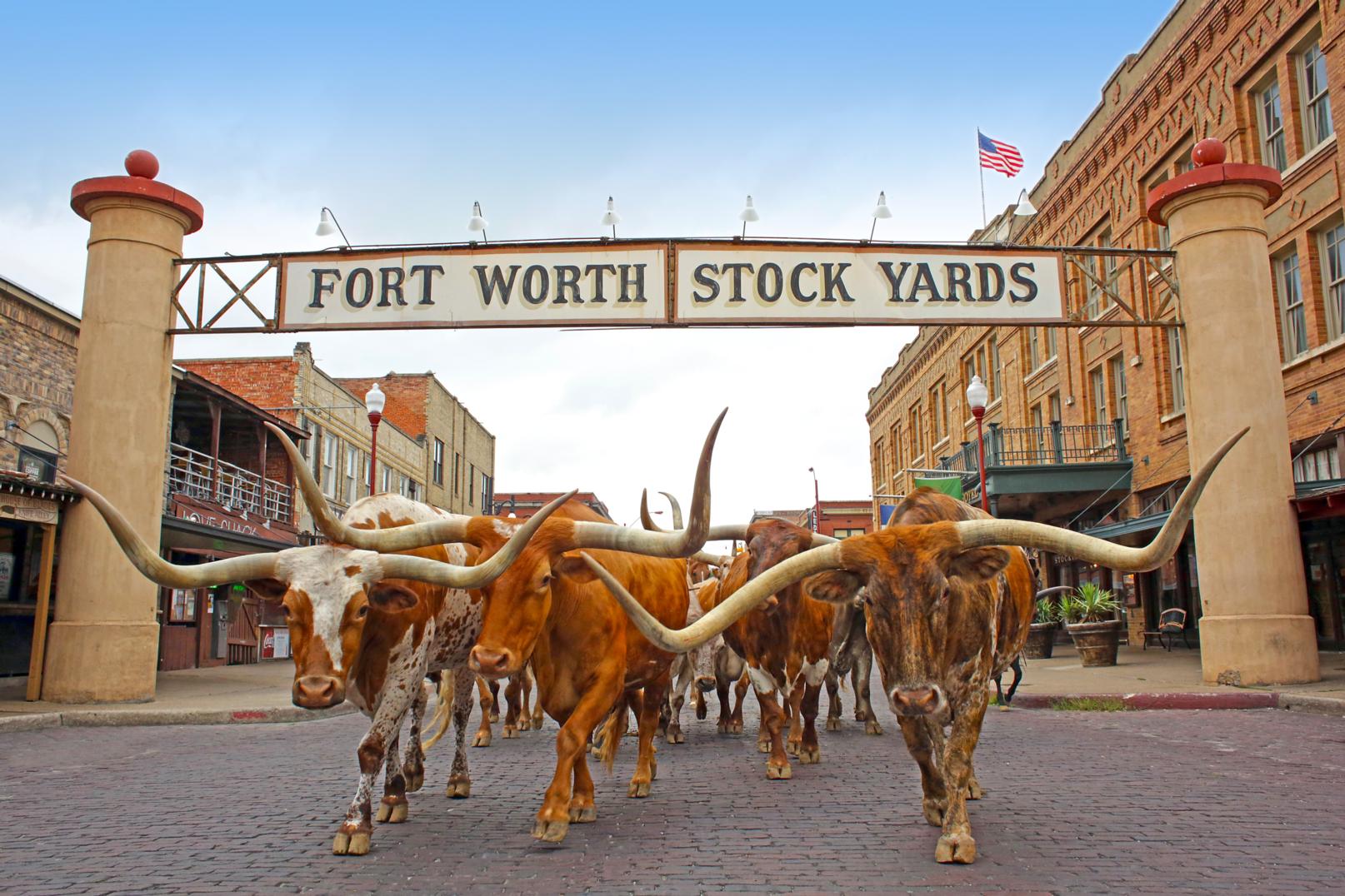 Best Staycation Cities: Fort Worth - Omni Hotels & Resorts Blog