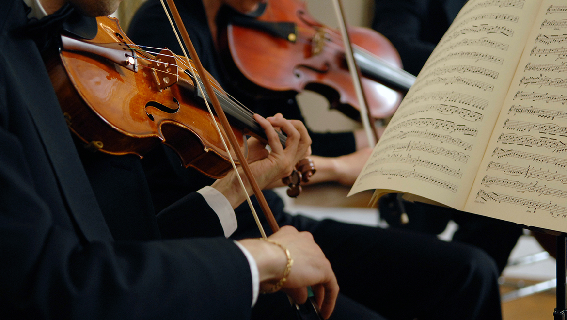 Violins