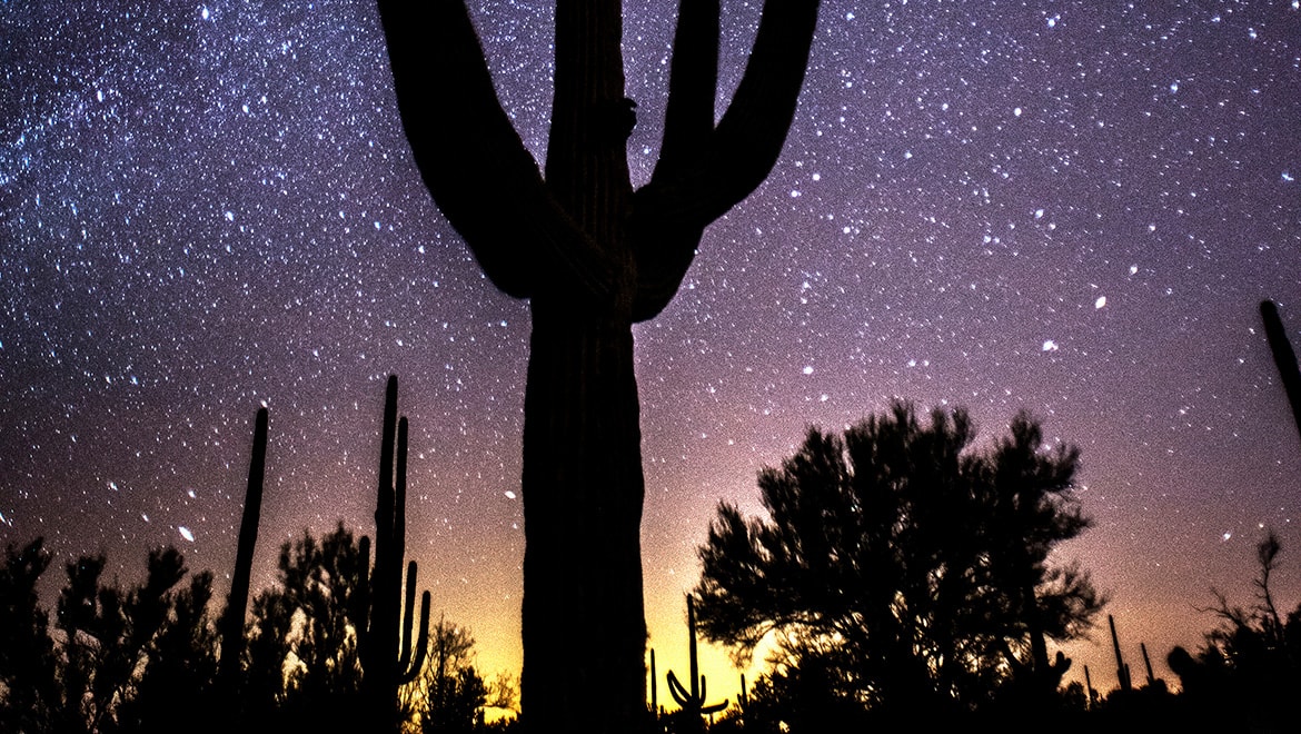 Starry Skies Escape