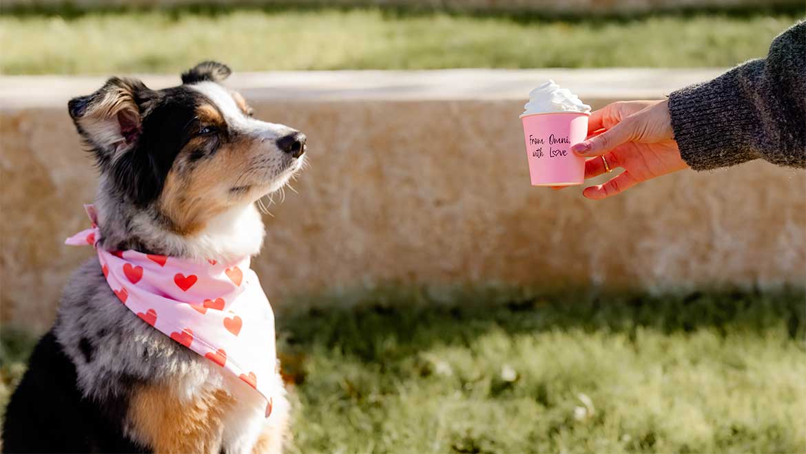 Dog and pup cup