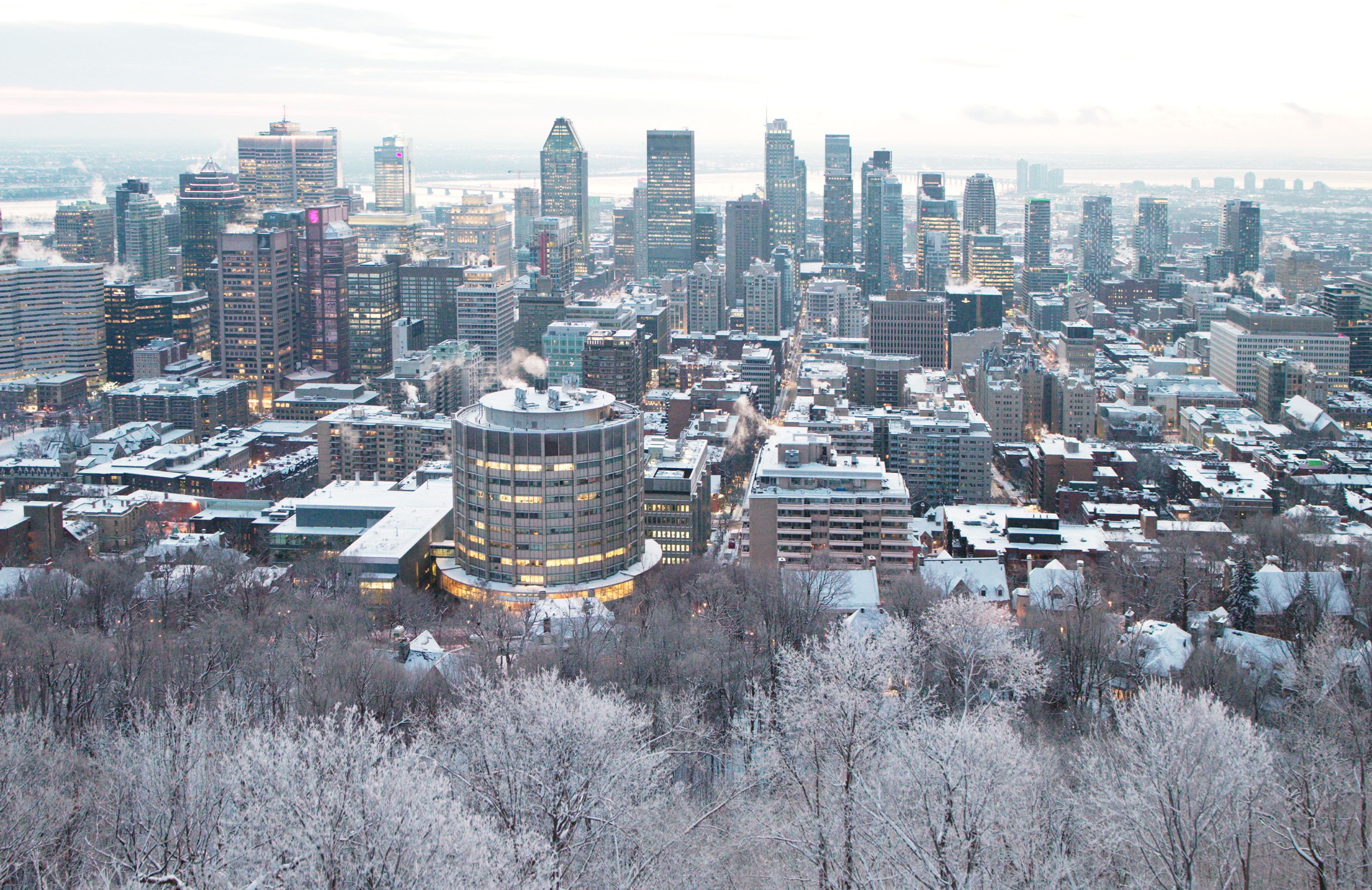 winter city shot