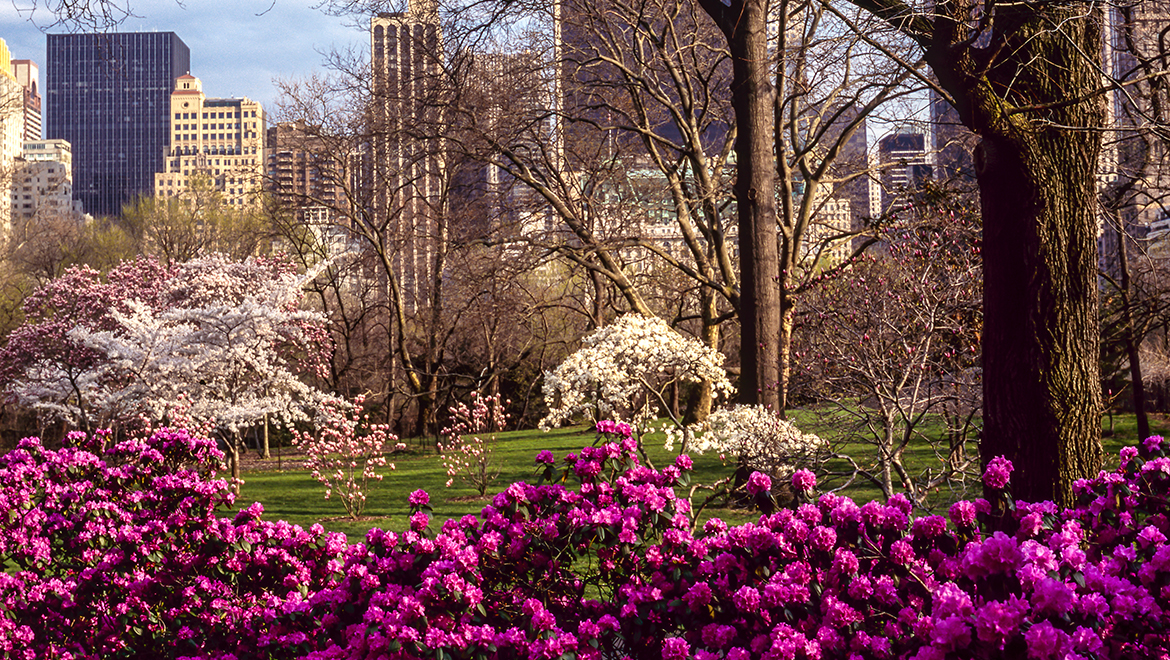 New York City Spring