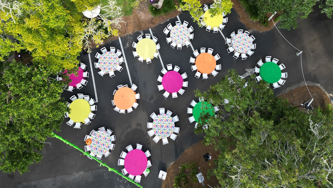 canopy park