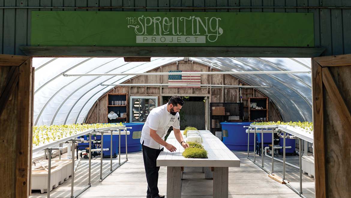 Chef Picking Herbs at The Sprouting Project