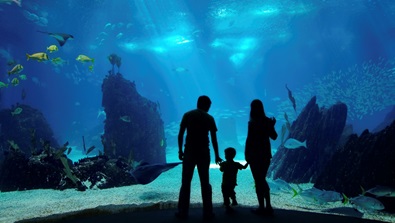 Texas State Aquarium Family Getaway 