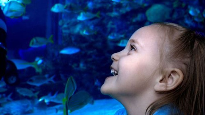 Girl at Aquarium