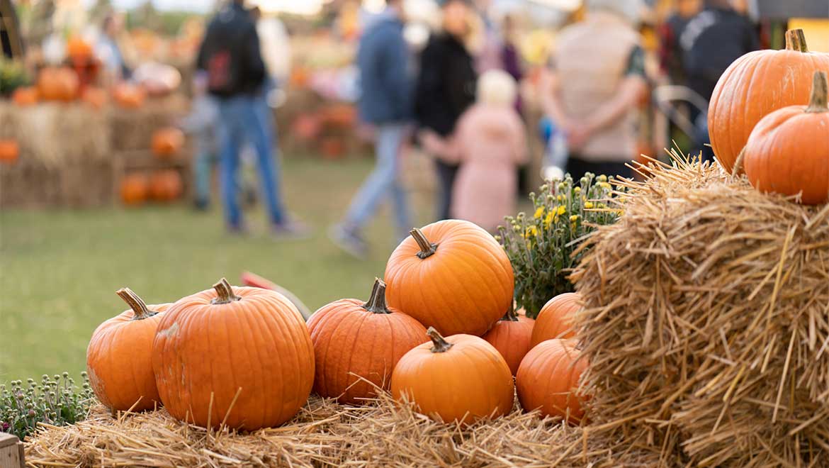 Fall Market at PGA Frisco