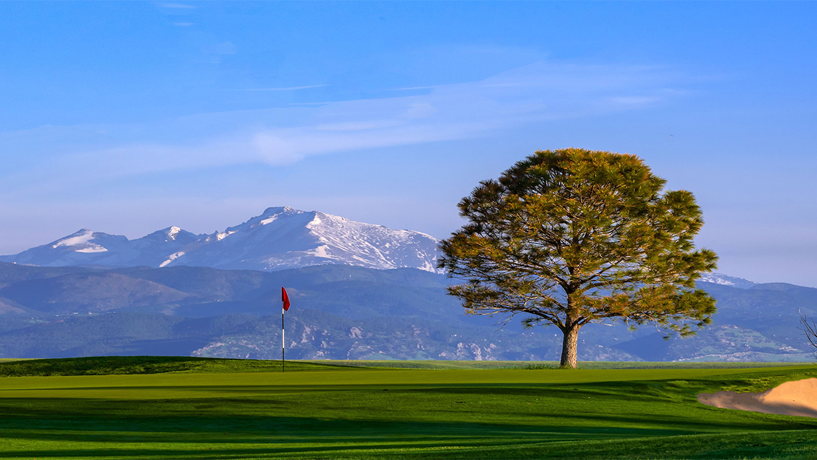 Group Golf