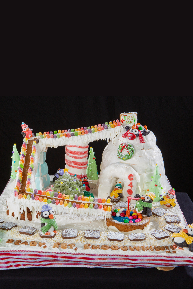 31st Annual National Gingerbread House Competition child second place winner