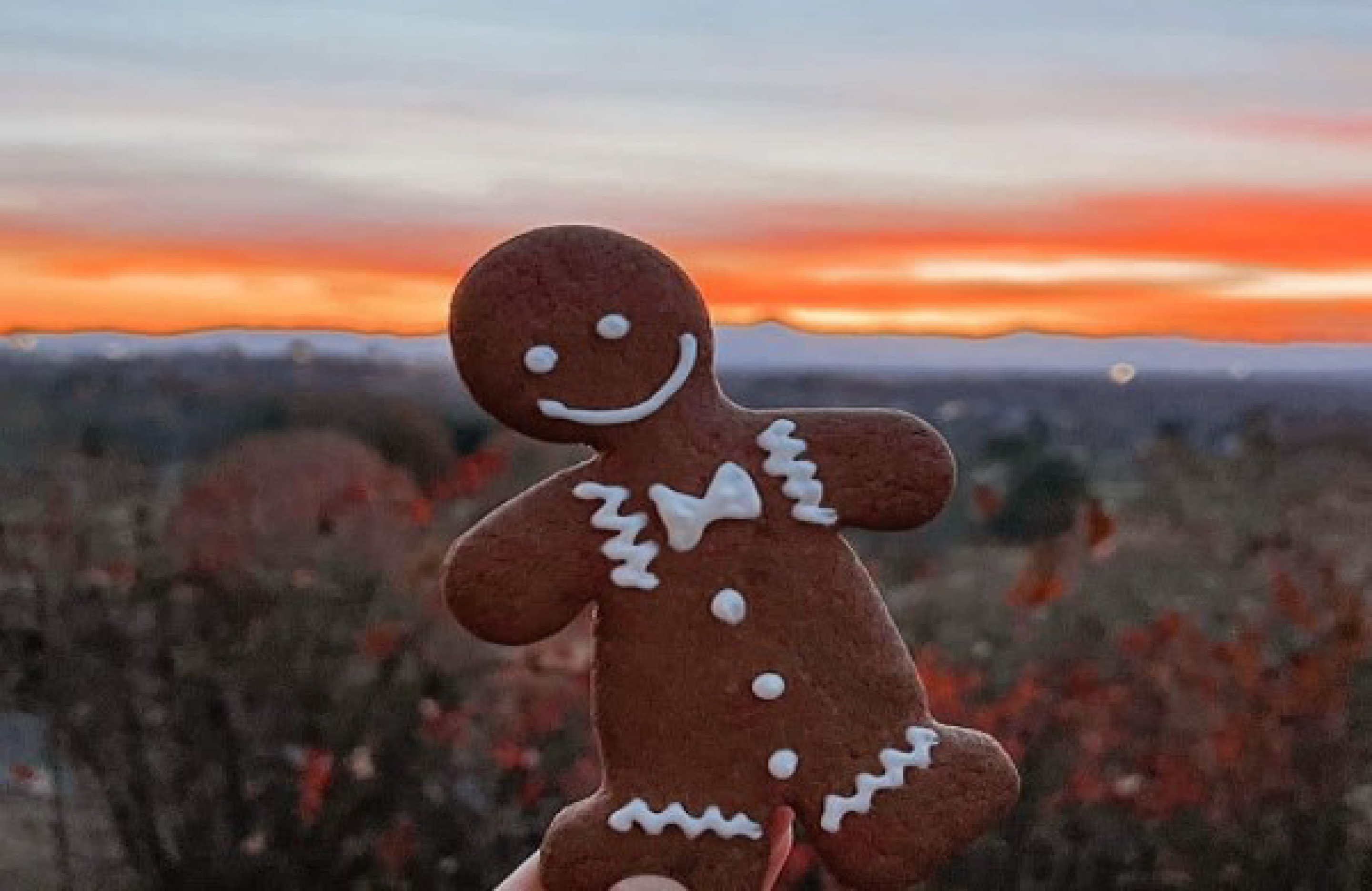 gingerbread in july