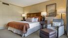 Premier King Accessible - Omni Grove Park Inn