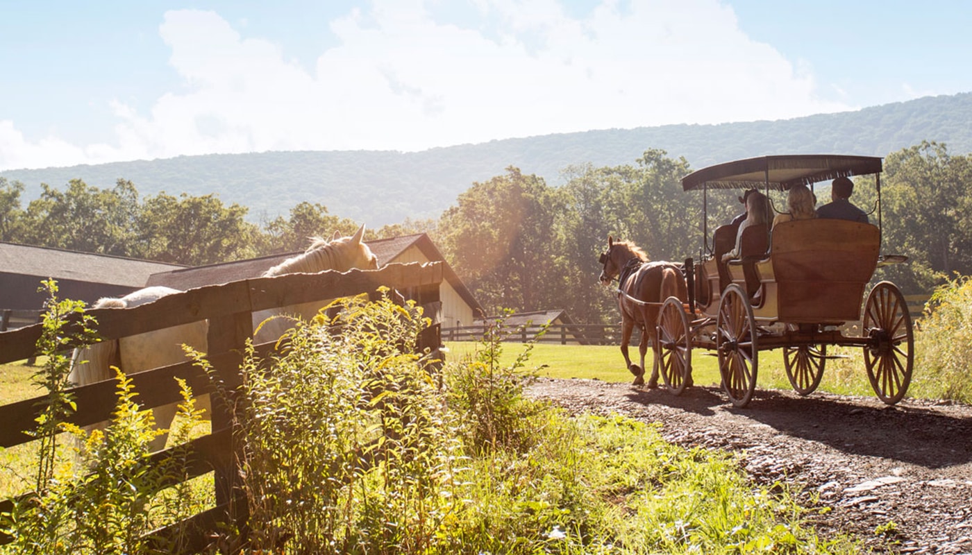 Horse and buggy