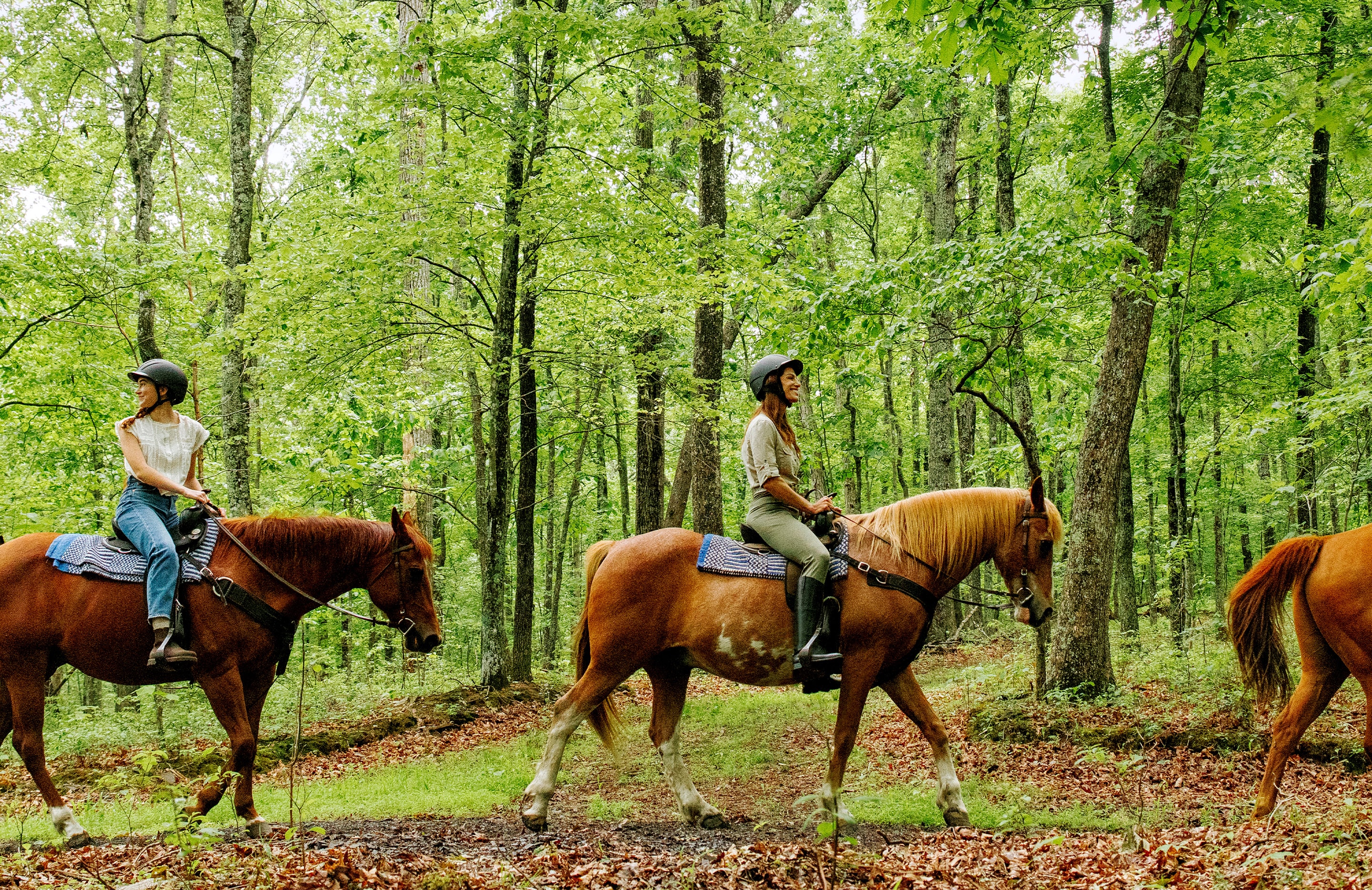 horse back riding