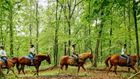 People riding horses.