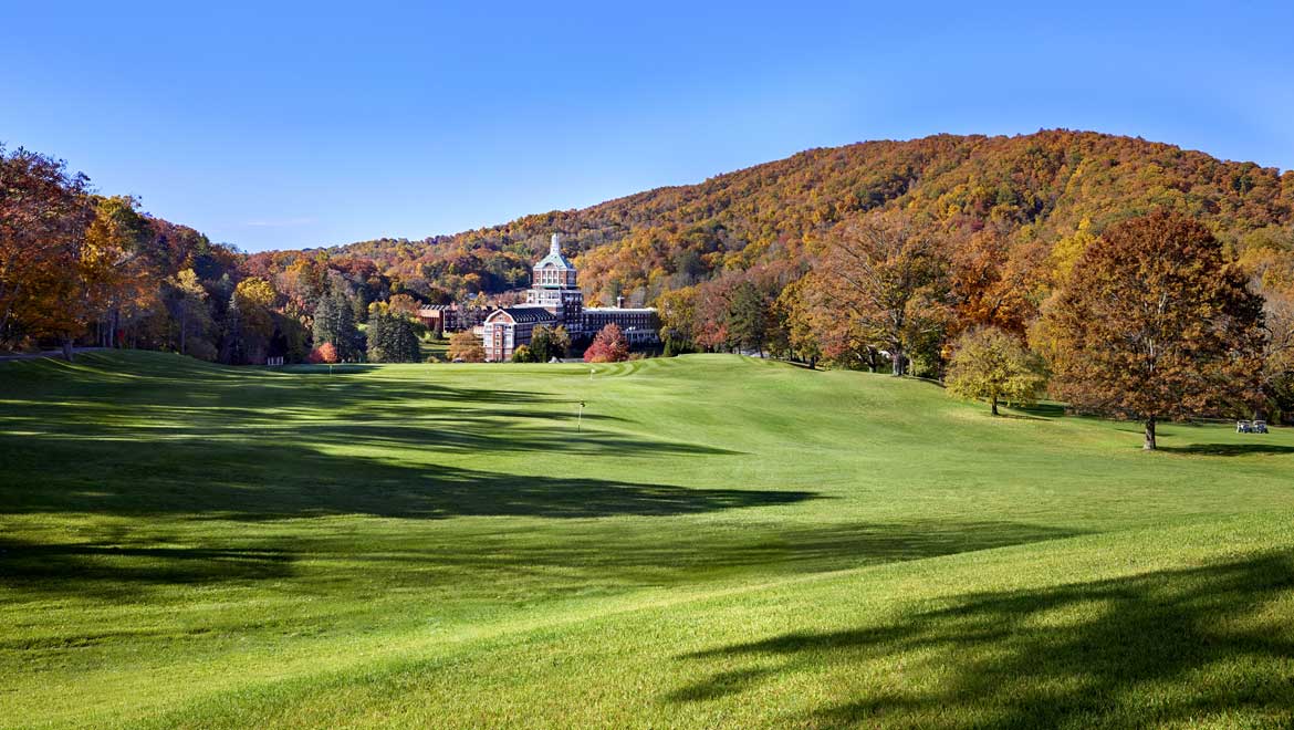 Fall foliage.