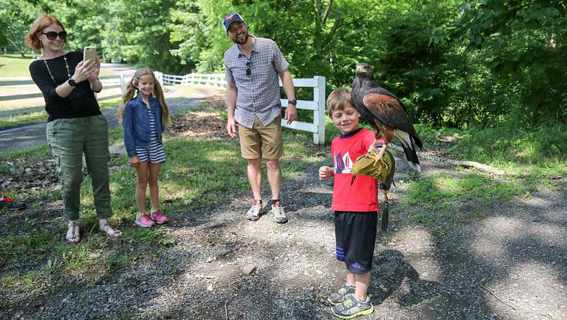 Child holds a falcon at Omni Homestead Resort falconry