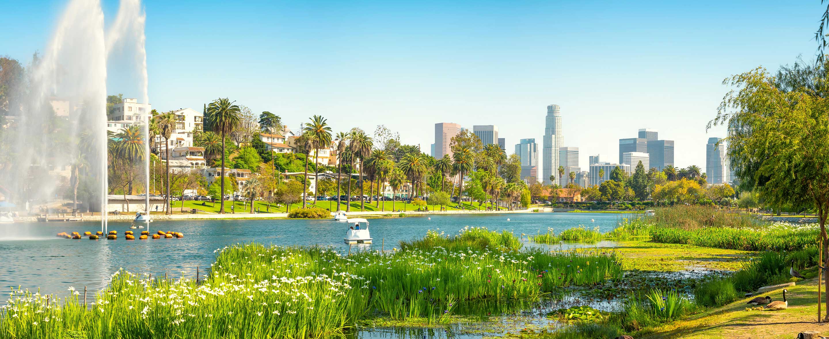 Things To Do In LA | Omni Los Angeles Hotel at California Plaza