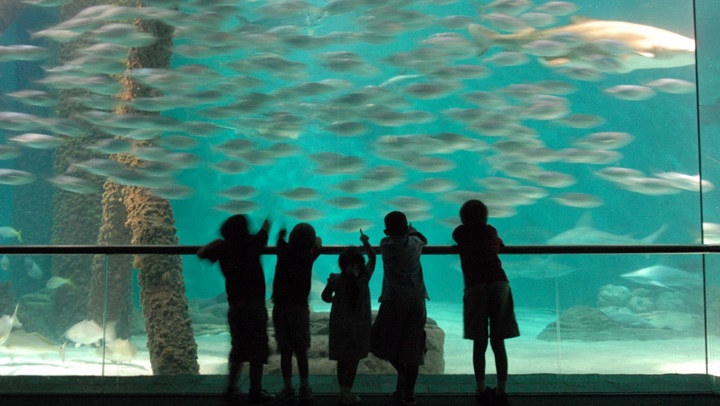Omni Riverfront Aquarium