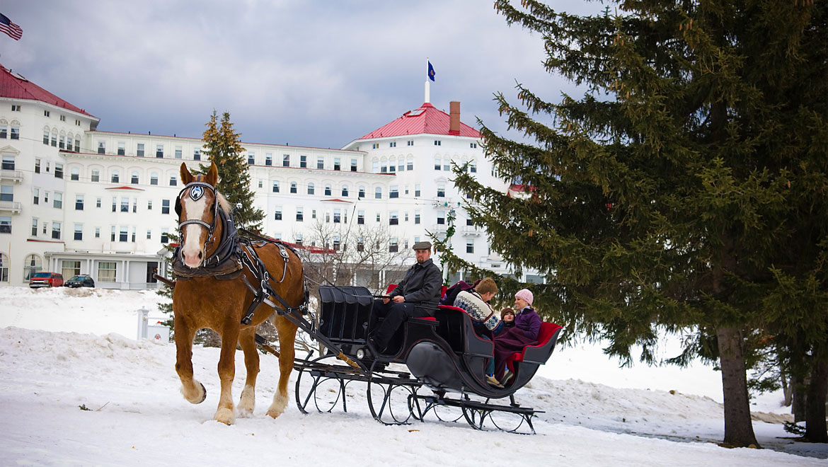 Horse draw carriage at Mount Washington