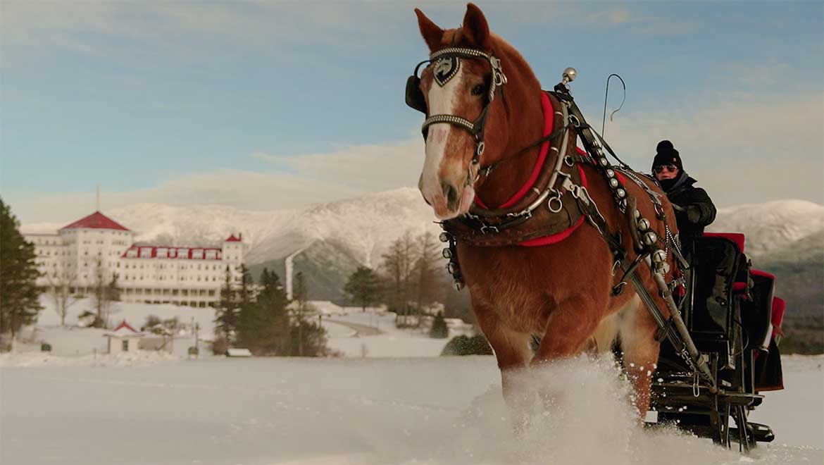 Horse sleigh 