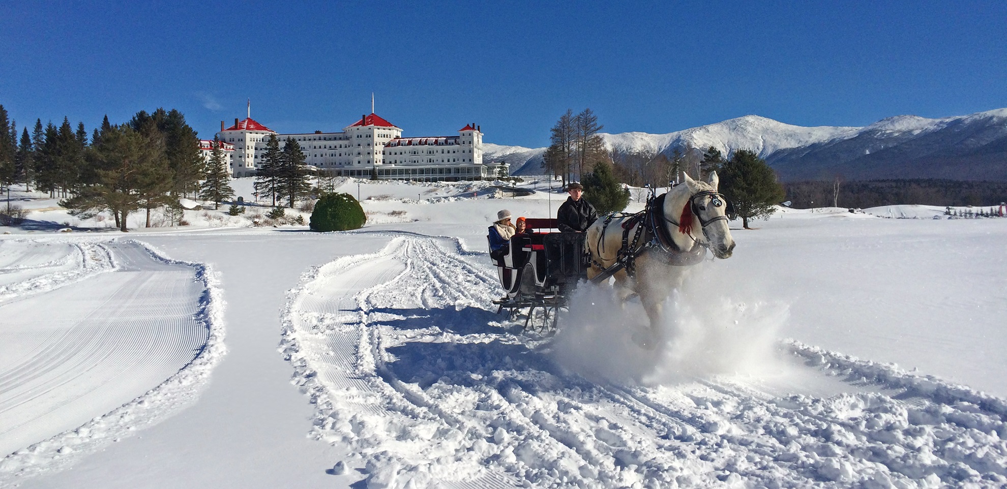Omni Mount Washington - Horse Carriage 