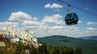   Gondola Scenic Ride