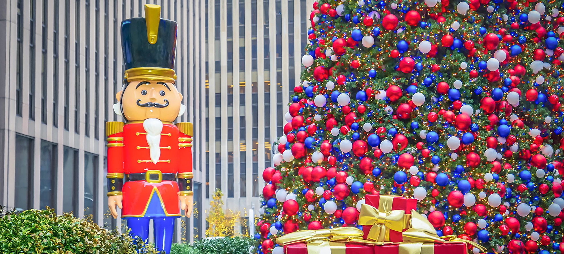 Toy Soldier next to christmas tree