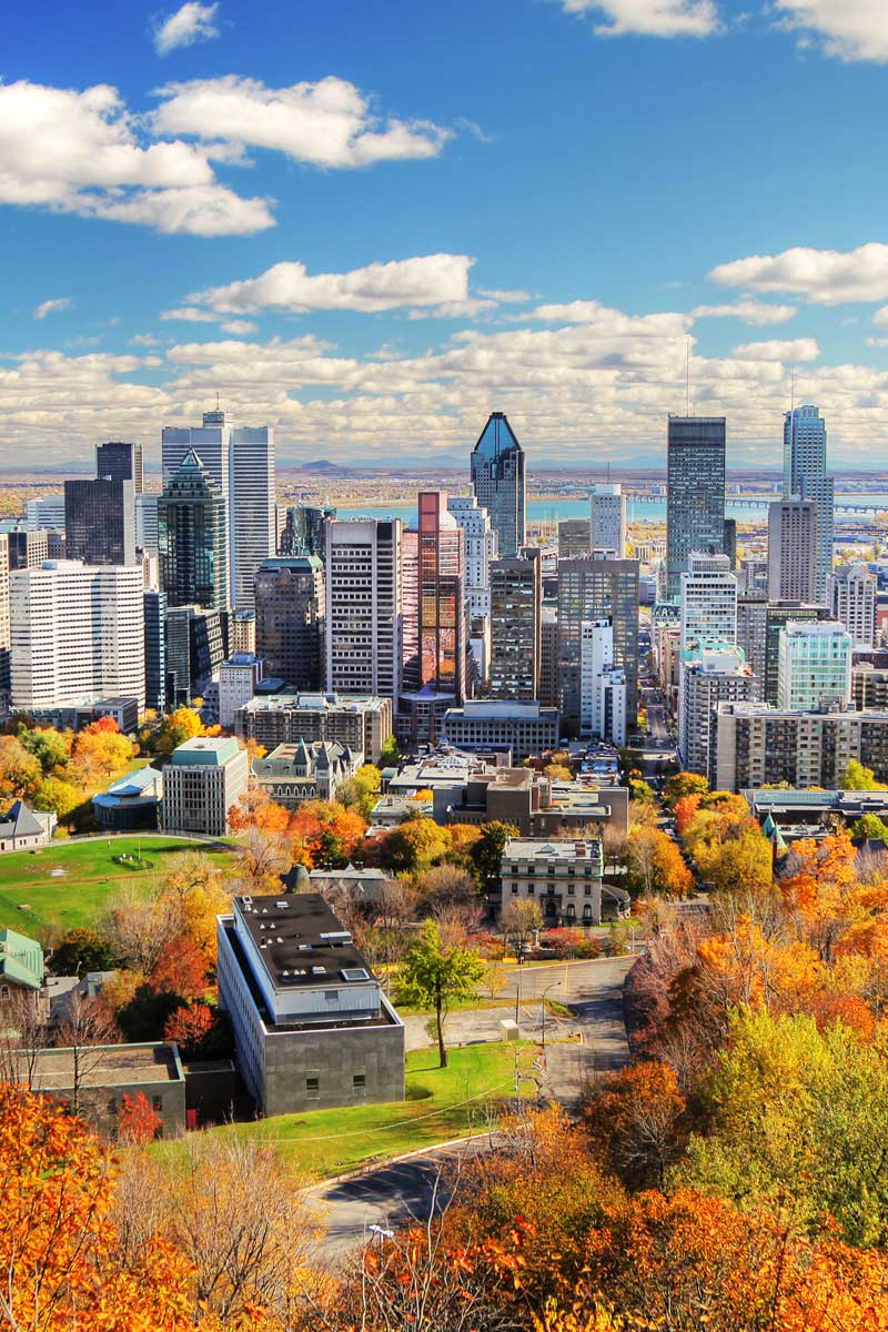 Omni Montreal aerial view of the city in fall.