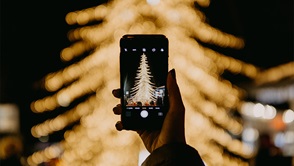 Person taking picture of Christmas tree
