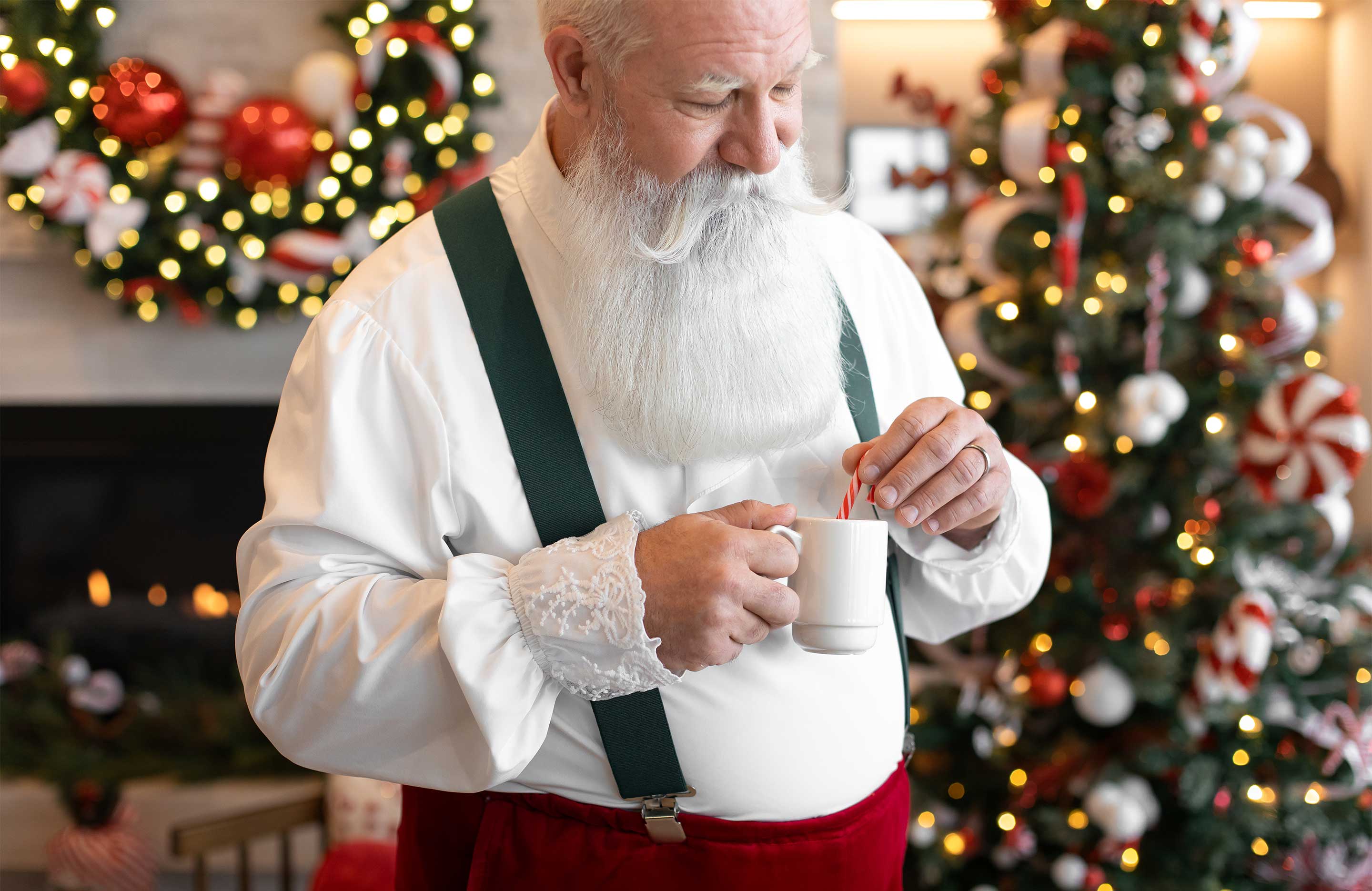 Santa's Landing