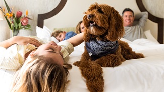 family with their dog on a bed