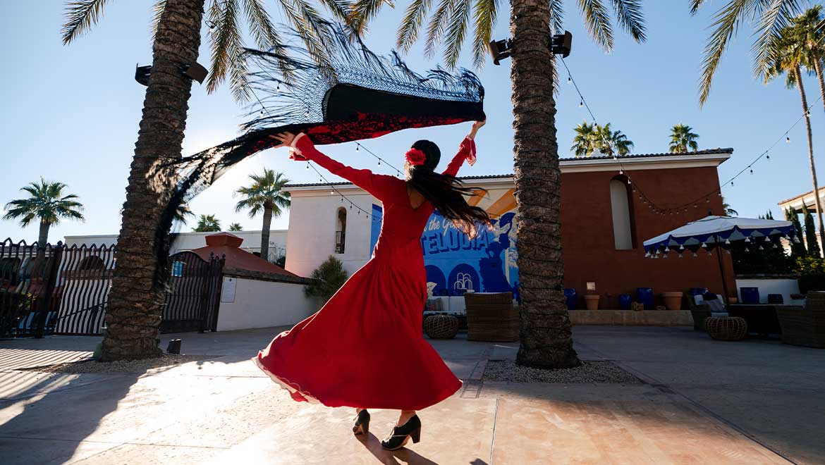 Flamenco dancer