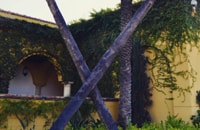 Omni Scottsdale History X Trees