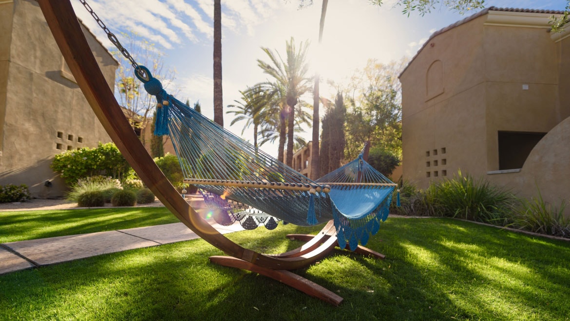 Hammock in the sun