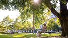 Girl on swing - Omni Bedford springs 