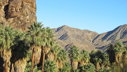 Palm Springs Indian Canyons