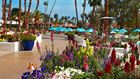 Flowers in the Plaza