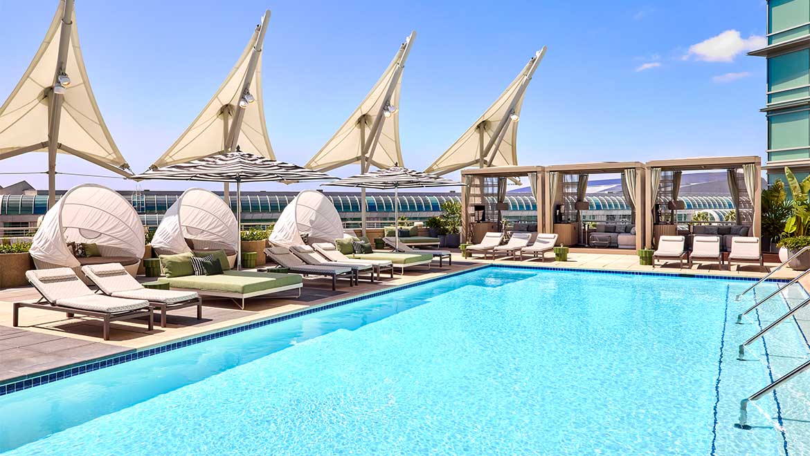 Rooftop Pool