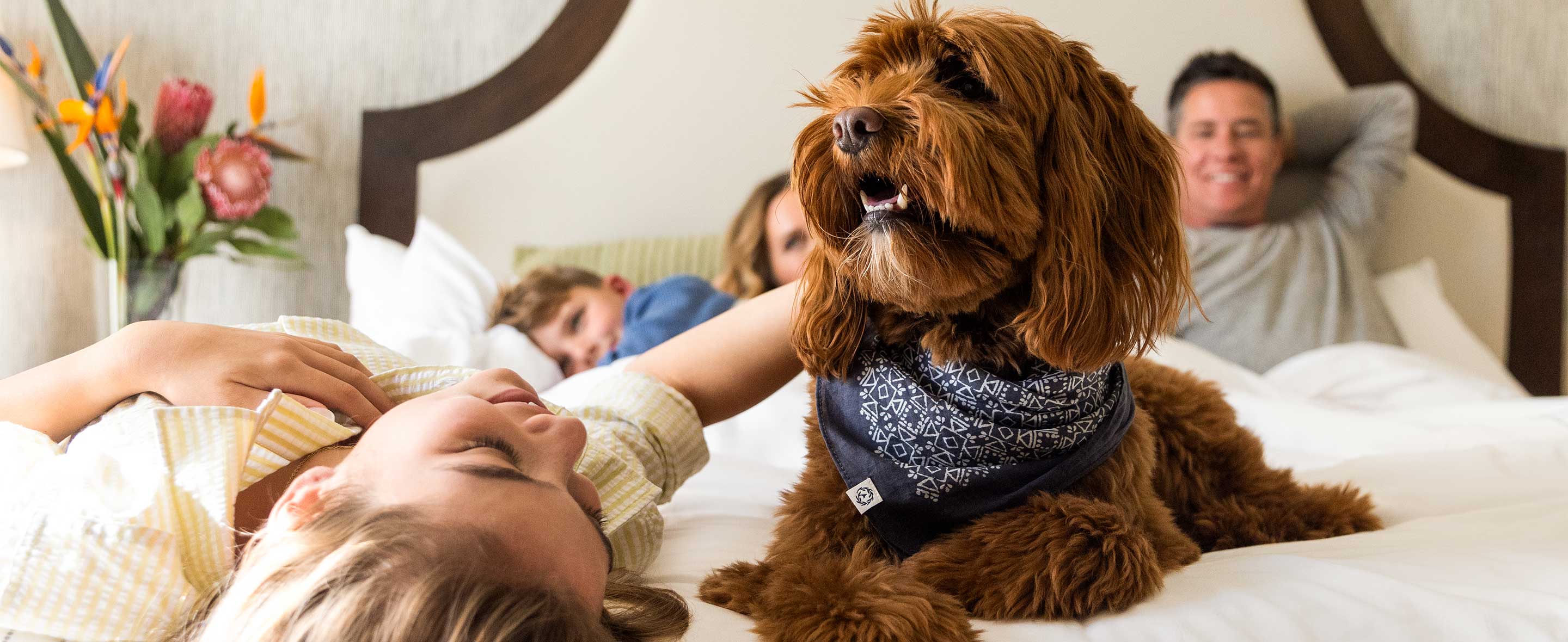 dog and family