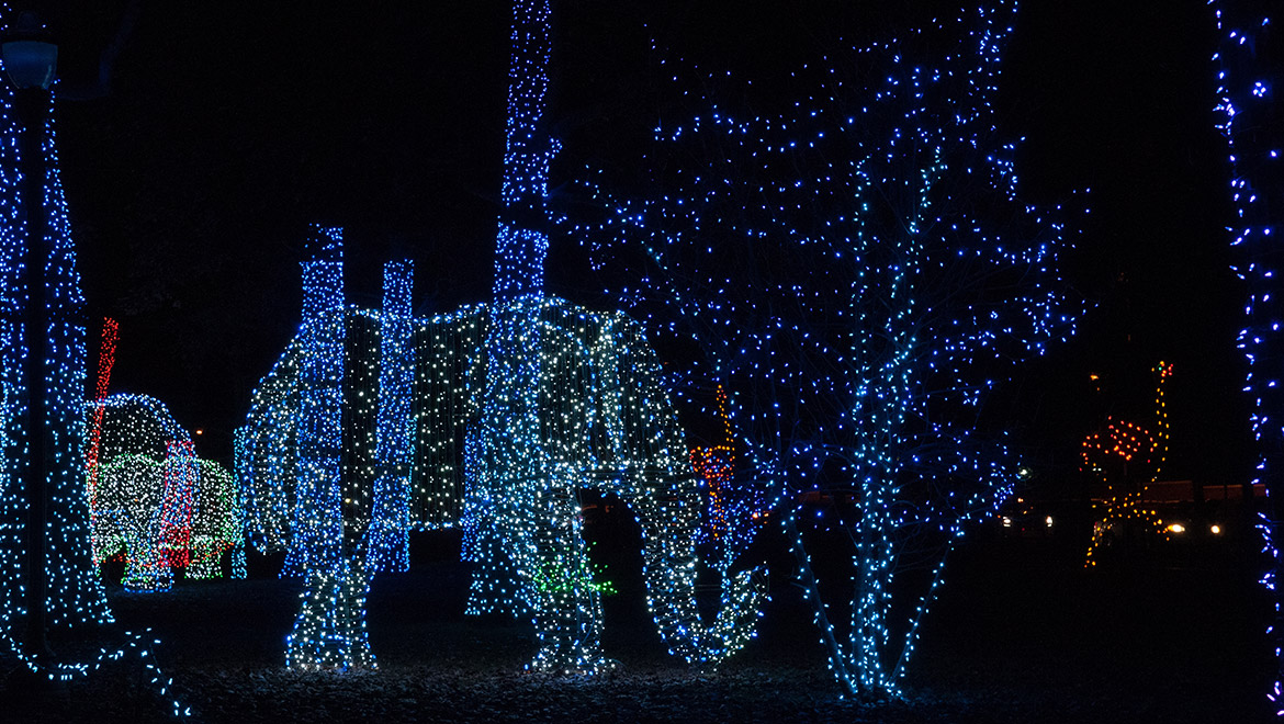 Christmas lights in the shape of an elephant