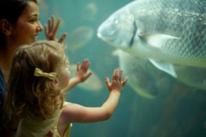 mother daughter looking inside aquarium tank