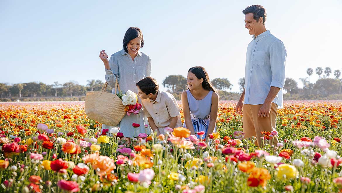 Family walking through a flower field